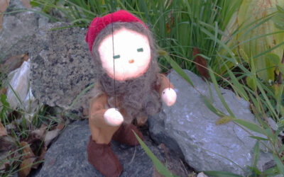 A Review of Co-Creating with the Living World